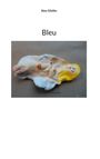 Alex Gfeller: Bleu, Buch
