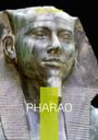 Bernd Schubert: Pharao, Buch