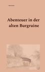 Heike Scholze: Abenteuer in der alten Burgruine, Buch