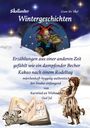 Liam Bo Skol: Skollander Wintergeschichten, Buch