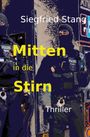 Siegfried Stang: Mitten in die Stirn, Buch