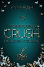 Anna Rush: Forbidden Crush on Asher Sterling, Buch