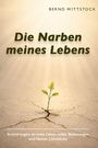 "Die Narben meines Lebens" in großer Schrift. Darunter ein Pflänzchen, das aus rissigem Boden sprießt.