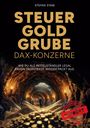 Stefan Staib: Steuergoldgrube DAX-Konzerne, Buch