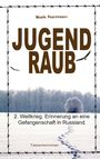 Maik Harmsen: Jugendraub, Buch