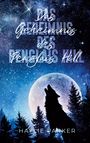 Haylie Parker: Das Geheimnis des Penglais Hill, Buch