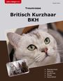Brigitte Müller: Traumrasse Britisch Kurzhaar, Buch