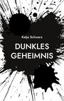 Katja Schwarz: Dunkles Geheimnis, Buch