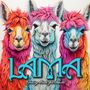Monsoon Publishing: Lama Coloring Book for Adults, Buch