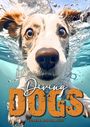 Monsoon Publishing: Diving Dogs Coloring Book for Adults, Buch