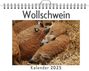 Lily Frank: Wollschwein, KAL