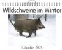 Luisa Weber: WIldschweine im Winter, KAL