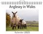 Eva Schwarz: Anglesey in Wales, KAL