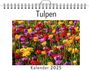 Laura Klein: Tulpen, KAL