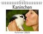 Aaron Becker: Kaninchen, KAL