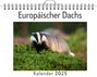 Florian Keller: Europäischer Dachs, KAL