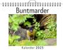 Lina Schmitt: Buntmarder, KAL