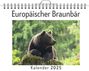 Eva Klein: Europäischer Braunbär, KAL