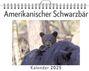 Anna Koch: Amerikanischer Schwarzbär, KAL