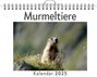 Mia Huber: Murmeltiere, KAL