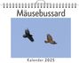 Zoe Hofmann: Mäusebussard, KAL