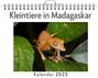 Anton Friedrich: Kleintiere in Madagaskar - (Wandkalender 2025, Kalender DIN A4 quer, Monatskalender im Querformat mit Kalendarium, das perfekte Geschenk), KAL