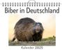 Julia Huber: Biber in Deutschland - (Wandkalender 2025, Kalender DIN A4 quer, Monatskalender im Querformat mit Kalendarium, das perfekte Geschenk), KAL