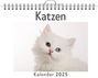 Luisa Werner: Katzen - (Wandkalender 2025, Kalender DIN A4 quer, Monatskalender im Querformat mit Kalendarium, das perfekte Geschenk), KAL