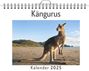 Louis Schmidt: Kängurus - (Wandkalender 2025, Kalender DIN A4 quer, Monatskalender im Querformat mit Kalendarium, das perfekte Geschenk), KAL