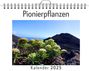 Samuel Günther: Pionierpflanzen - (Wandkalender 2025, Kalender DIN A4 quer, Monatskalender im Querformat mit Kalendarium, das perfekte Geschenk), KAL