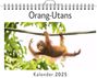 Lucy Braun: Orang-Utans - (Wandkalender 2025, Kalender DIN A4 quer, Monatskalender im Querformat mit Kalendarium, das perfekte Geschenk), KAL