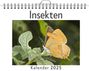 Laura Wolf: Insekten - (Wandkalender 2025, Kalender DIN A4 quer, Monatskalender im Querformat mit Kalendarium, das perfekte Geschenk), KAL