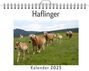 Liam Neumann: Haflinger - (Wandkalender 2025, Kalender DIN A4 quer, Monatskalender im Querformat mit Kalendarium, das perfekte Geschenk), KAL