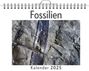 Noah Schubert: Fossilien - (Wandkalender 2025, Kalender DIN A4 quer, Monatskalender im Querformat mit Kalendarium, das perfekte Geschenk), KAL