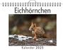 Ben Schmid: Eichhörnchen - (Wandkalender 2025, Kalender DIN A4 quer, Monatskalender im Querformat mit Kalendarium, das perfekte Geschenk), KAL