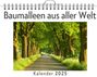 Finn Schmidt: Baumalleen aus aller Welt - (Wandkalender 2025, Kalender DIN A4 quer, Monatskalender im Querformat mit Kalendarium, das perfekte Geschenk), KAL