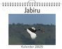 Charlotte Günther: Jabiru - (Wandkalender 2025, Kalender DIN A4 quer, Monatskalender im Querformat mit Kalendarium, das perfekte Geschenk), KAL