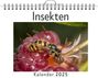 Elias Becker: Insekten - (Wandkalender 2025, Kalender DIN A4 quer, Monatskalender im Querformat mit Kalendarium, das perfekte Geschenk), KAL