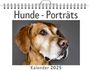 Julia Krause: Hunde - Porträts - (Wandkalender 2025, Kalender DIN A4 quer, Monatskalender im Querformat mit Kalendarium, das perfekte Geschenk), KAL