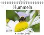 Leah Fischer: Hummeln - (Wandkalender 2025, Kalender DIN A4 quer, Monatskalender im Querformat mit Kalendarium, das perfekte Geschenk), KAL