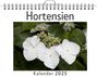 Matteo Peters: Hortensien - (Wandkalender 2025, Kalender DIN A4 quer, Monatskalender im Querformat mit Kalendarium, das perfekte Geschenk), KAL