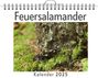 Paul Günther: Feuersalamander, KAL