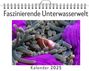 Lily Scholz: Faszinierende Unterwasserwelt, KAL