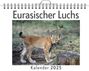 Lucas Lang: Eurasischer Luchs, KAL