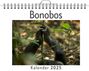 Tim Neumann: Bonobos, KAL