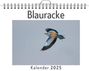 Nele Braun: Blauracke, KAL