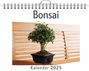 Max Krüger: Bonsai, KAL