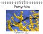 Emilia Schwarz: Forsythien, KAL