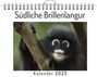 Clara Zimmermann: Südliche Brillenlangur, KAL