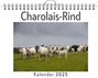 Linus Braun: Charolais-Rind, KAL